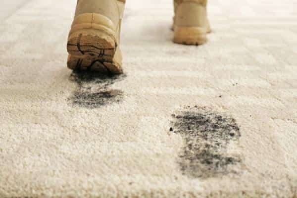Signs Your Business Needs Professional Carpet Cleaning
