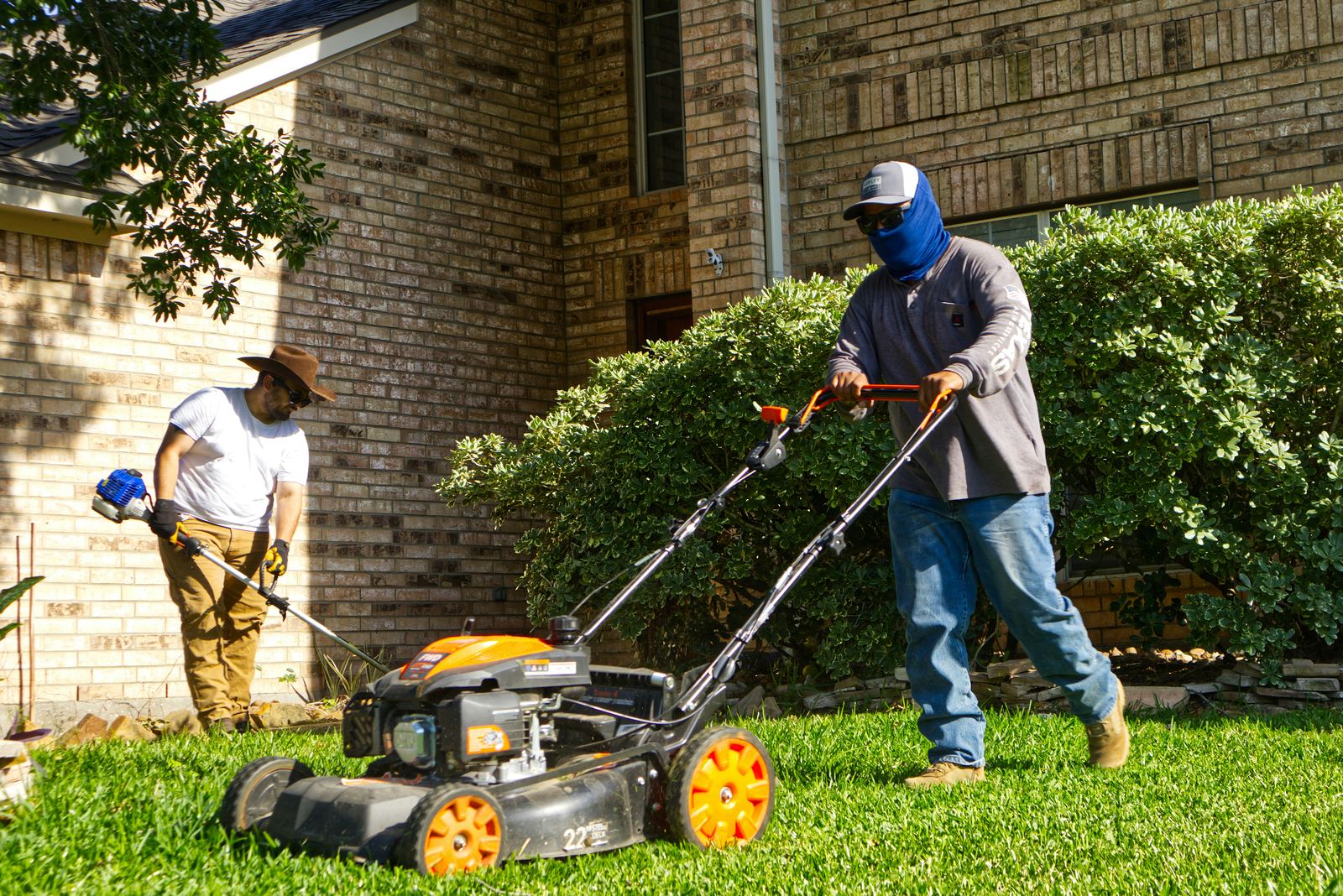 A team of local carpet cleaners working on a residential carpet in Texas